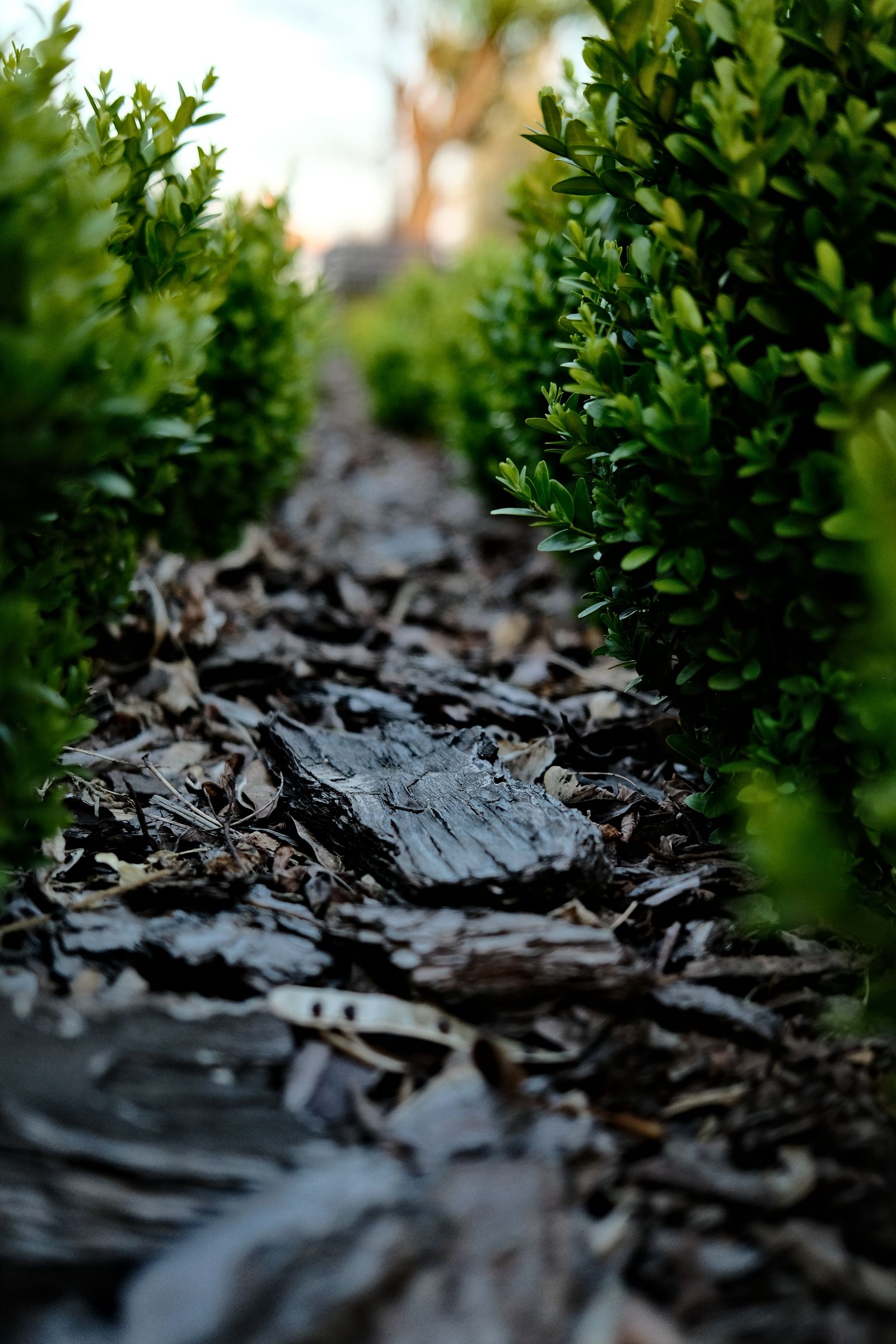 Landscaped beds with mulch and decorative rock