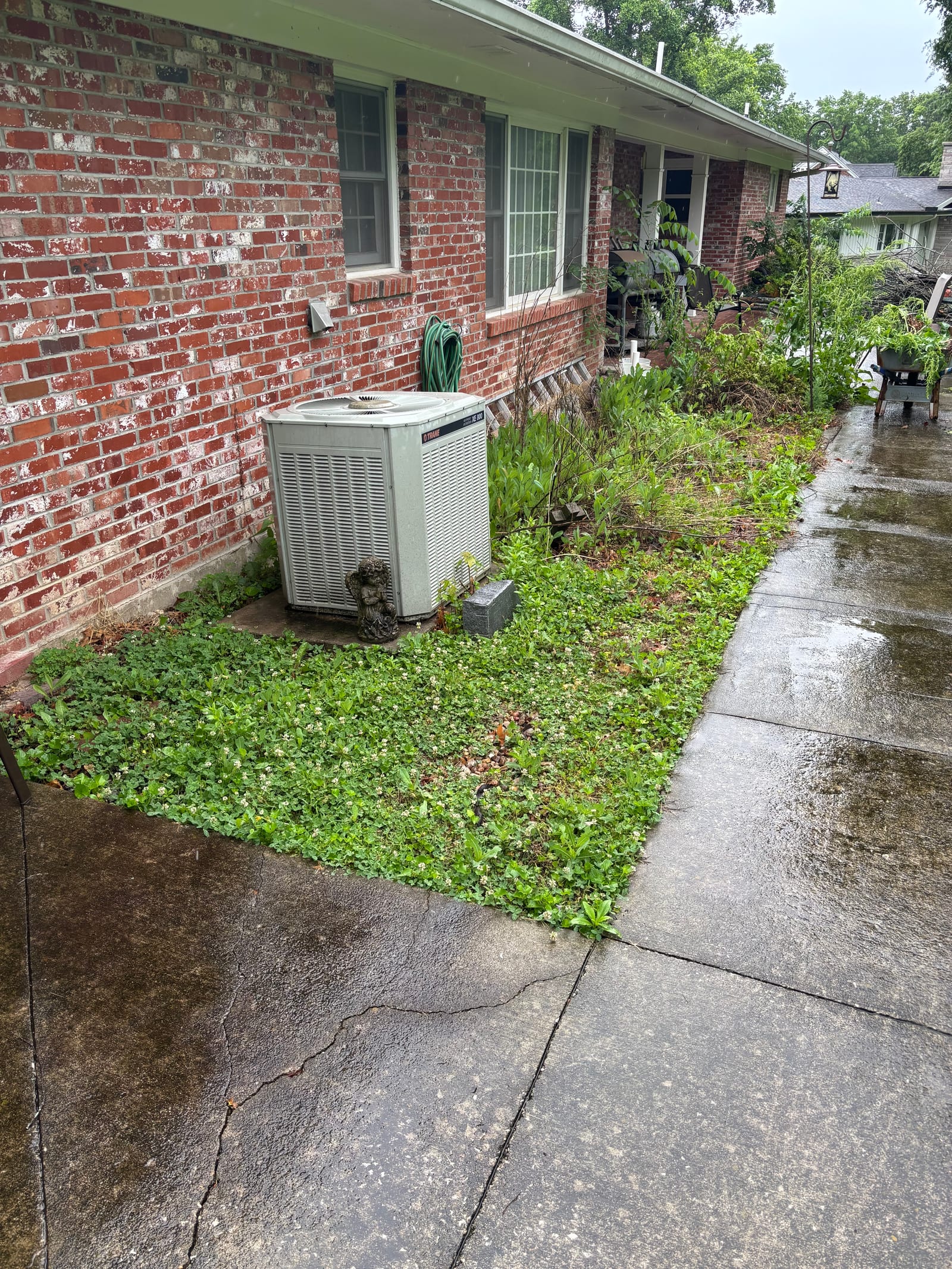 Before - a landscaping bed overgrown with weeds along the foundation